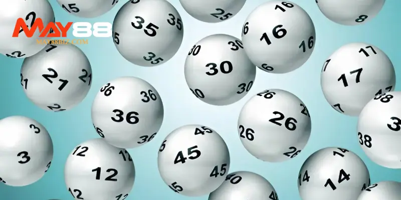 Nuôi bạch thủ kép theo khung 2 ngày