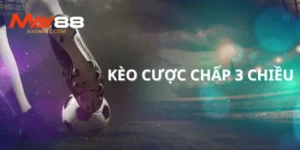 cuoc-chap-3-chieu-la-gi-1