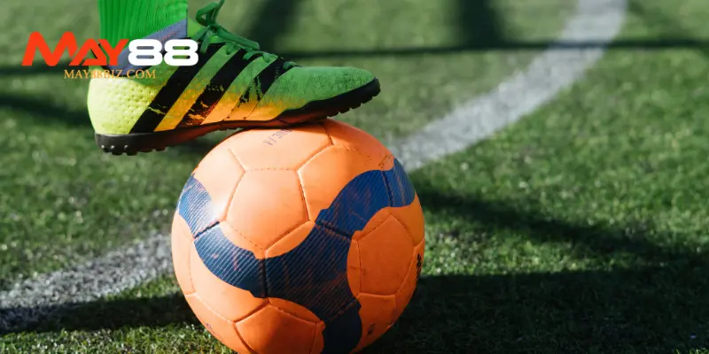 Kèo châu Á có nhiều loại đa dạng